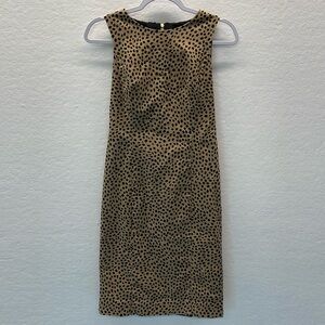J Crew Animal Print Dress